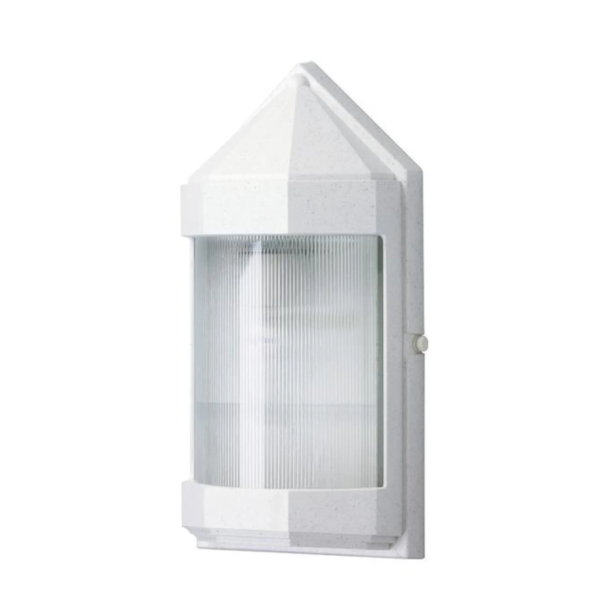 Everstone Non-Corrosive Wall Pack Lantern