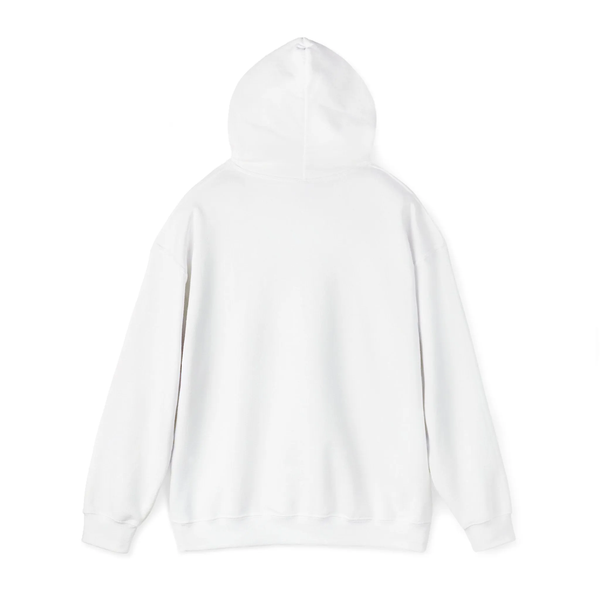 Speak truth hoodie white